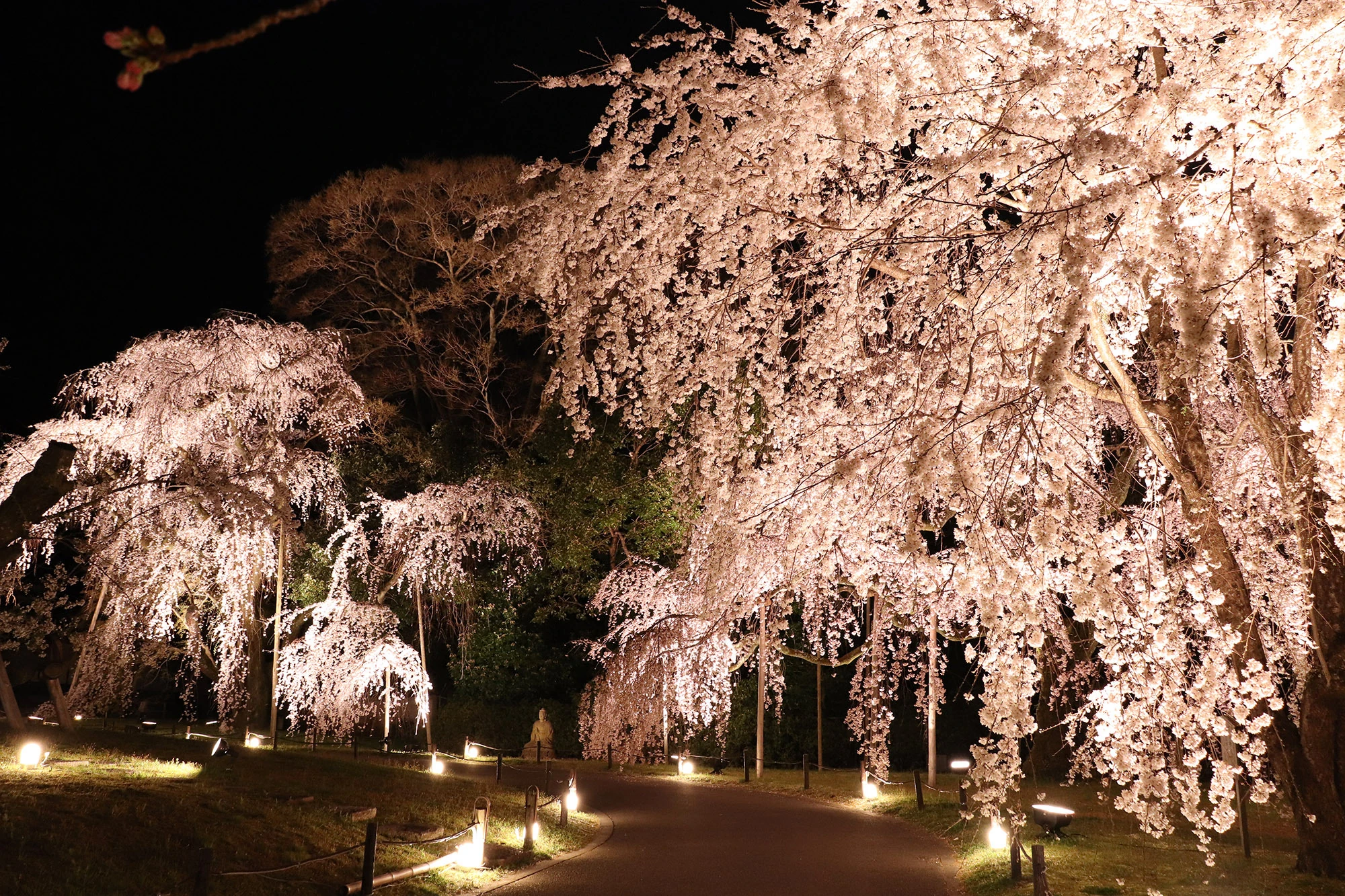 Daigoji Temple Kyoto