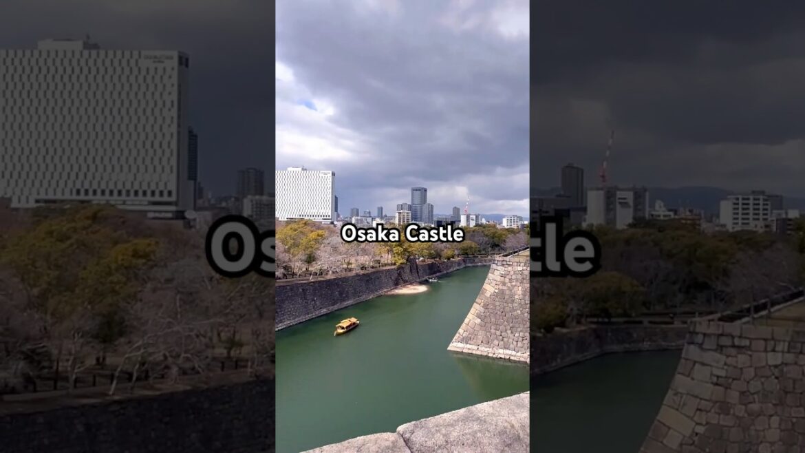 天守閣Osaka Castle #shorts #旅行紀錄 #旅遊 #osaka #castle #japan #travel #shortvideo #shorts