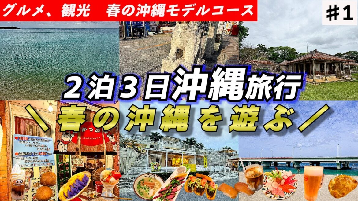 【沖縄大人ひとり旅】春に行きたい観光スポットをゆるく紹介　国際通り/ウミカジテラス/識名園
