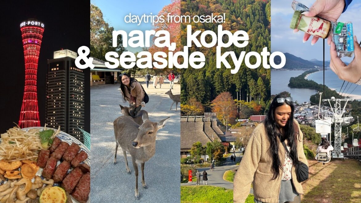 daytrips from osaka vlog 🦌 seaside kyoto, nara & kobe