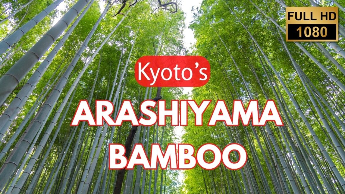 Kyoto Arashiyama Walk in Stunning Autumn Colors 🍁