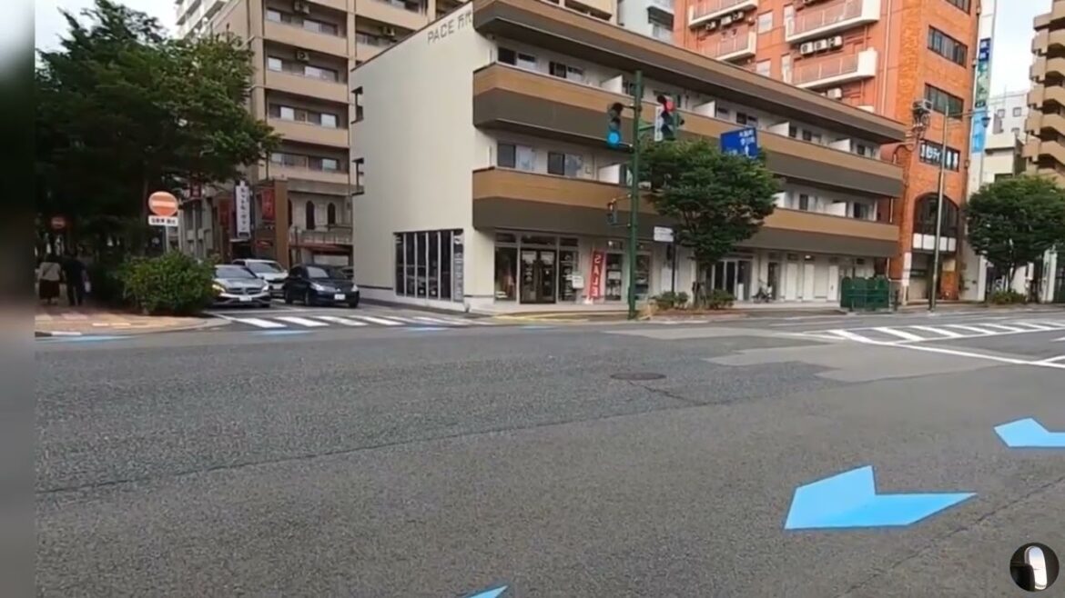 Niigata City Japan Tour