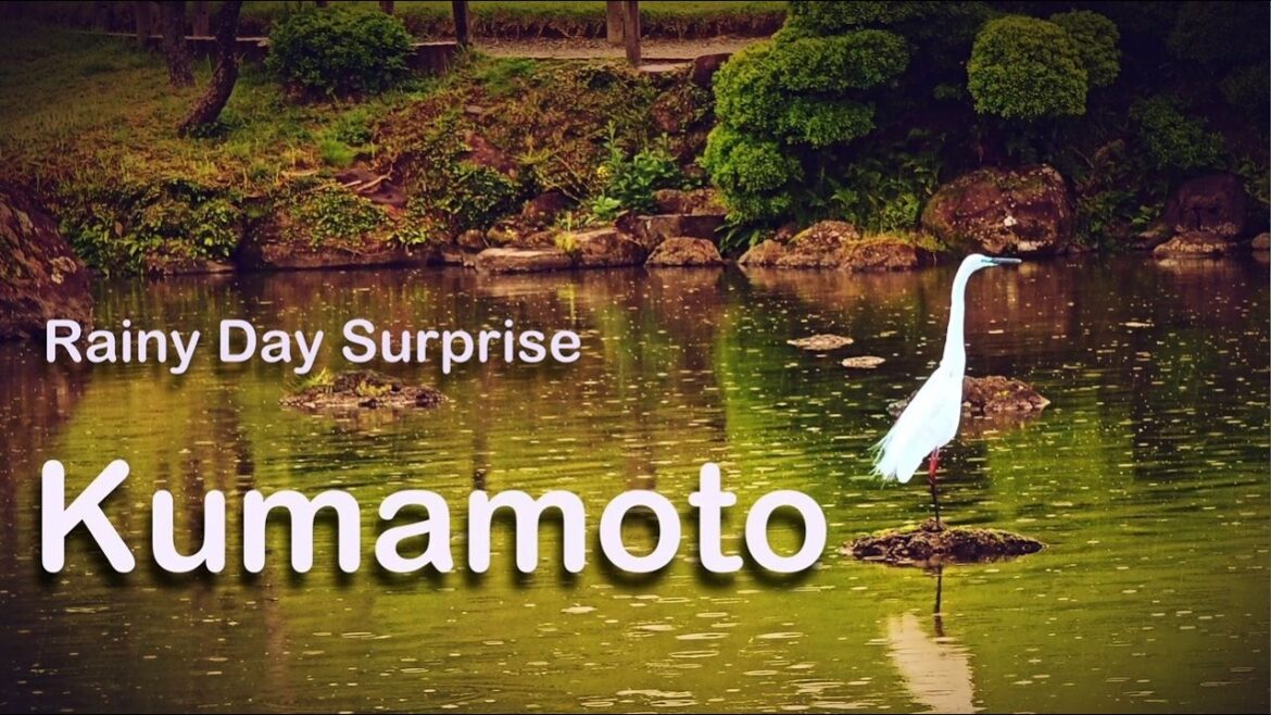 A Quick Trip to Kumamoto: Suizenji Park and City Views 🌿🏯