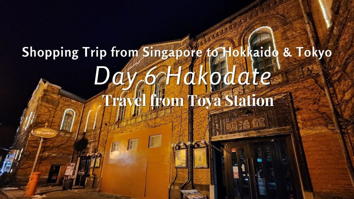 Day 6 Hakodate Travel from Toya Station | Shopping Trip from Singapore to Hokkaido & Tokyo