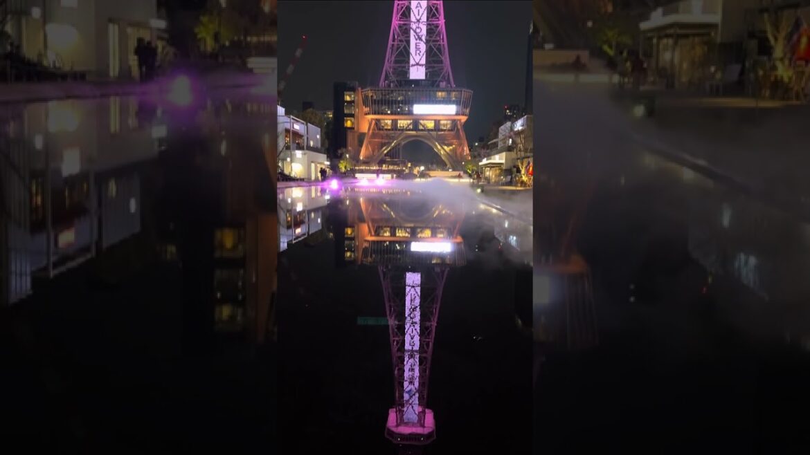 Gazing at Reflections, Nagoya, Japan, Stunning Tours from peter 🇯🇵