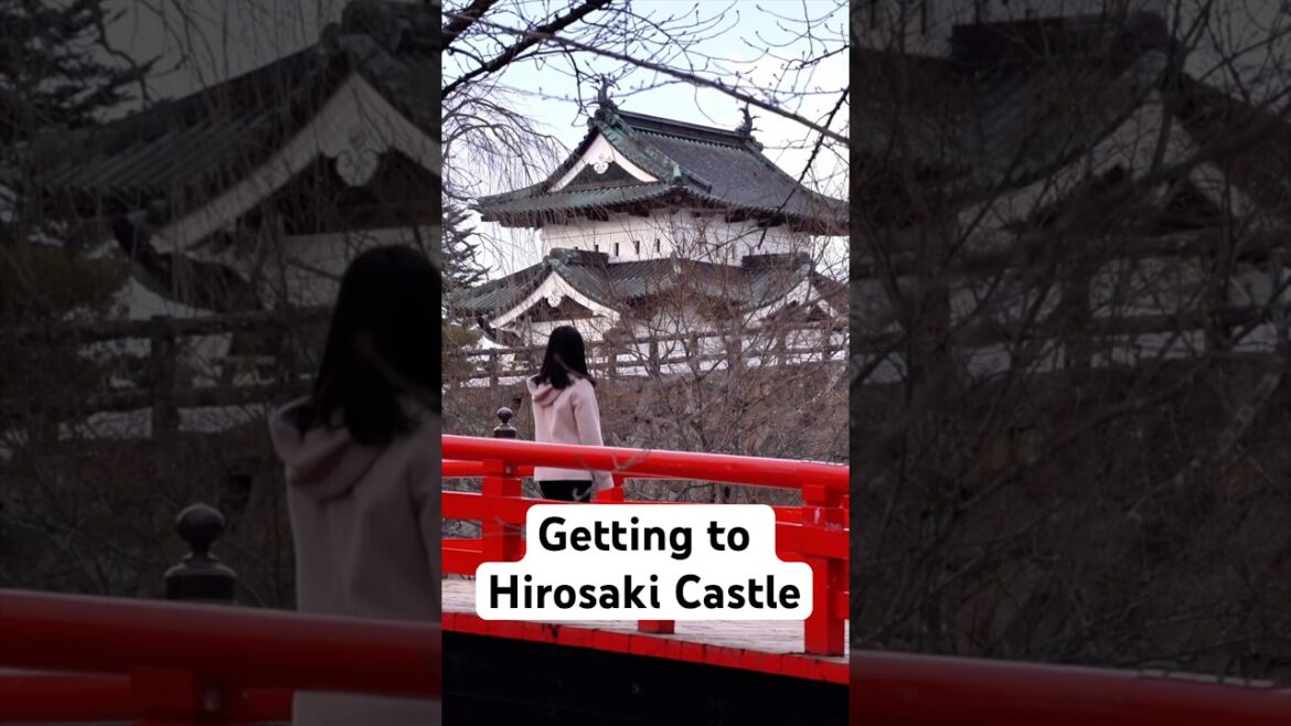 Aomori to Hirosaki by Train 🚆 (Easy $5 Day Trip!)