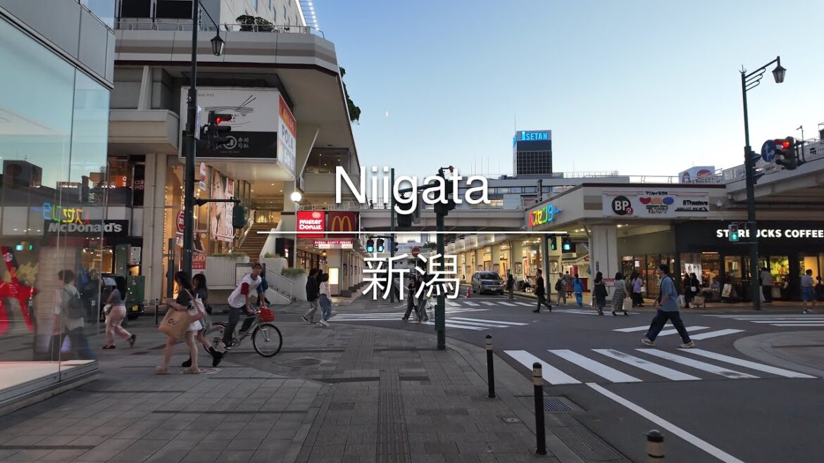 [4K] Niigata 新潟 [Niigata 新潟] [Walk 散歩] #1481