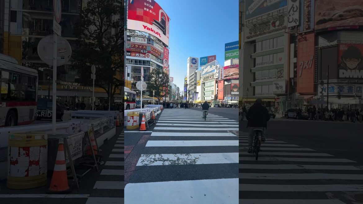Shibuya Crossing,  #travel #japan #shibuya #shorts #tokyo