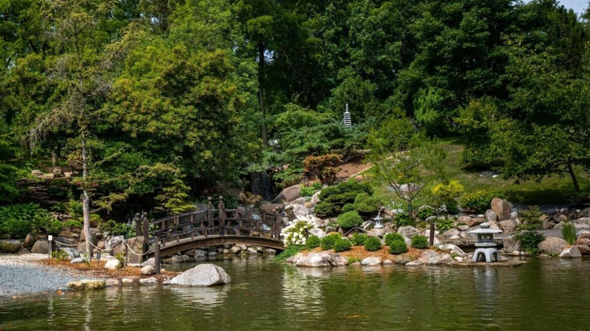 Backyard Garden Lover