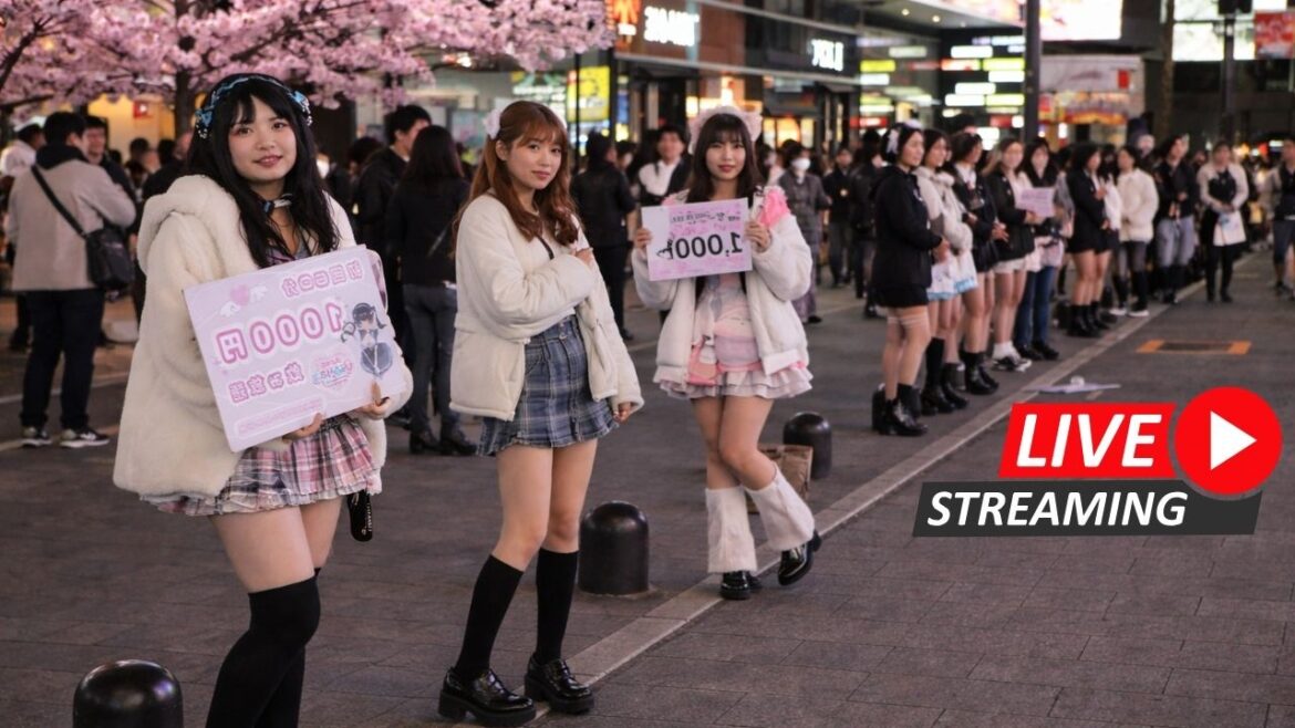 The Hidden Wild Side of Tokyo (Sunday Night) Live 🔴