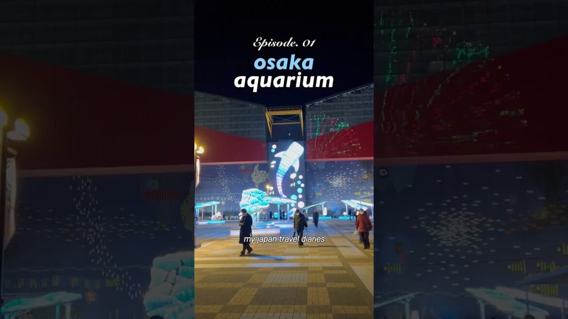 visiting japan’s biggest aquarium in osaka #osakaaquarium #osaka #japan #kaiyukan #musttry