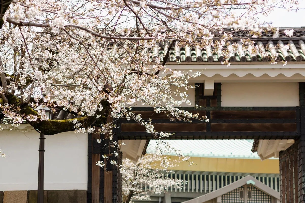 null - Seoul Economic Daily Culture News from South Korea