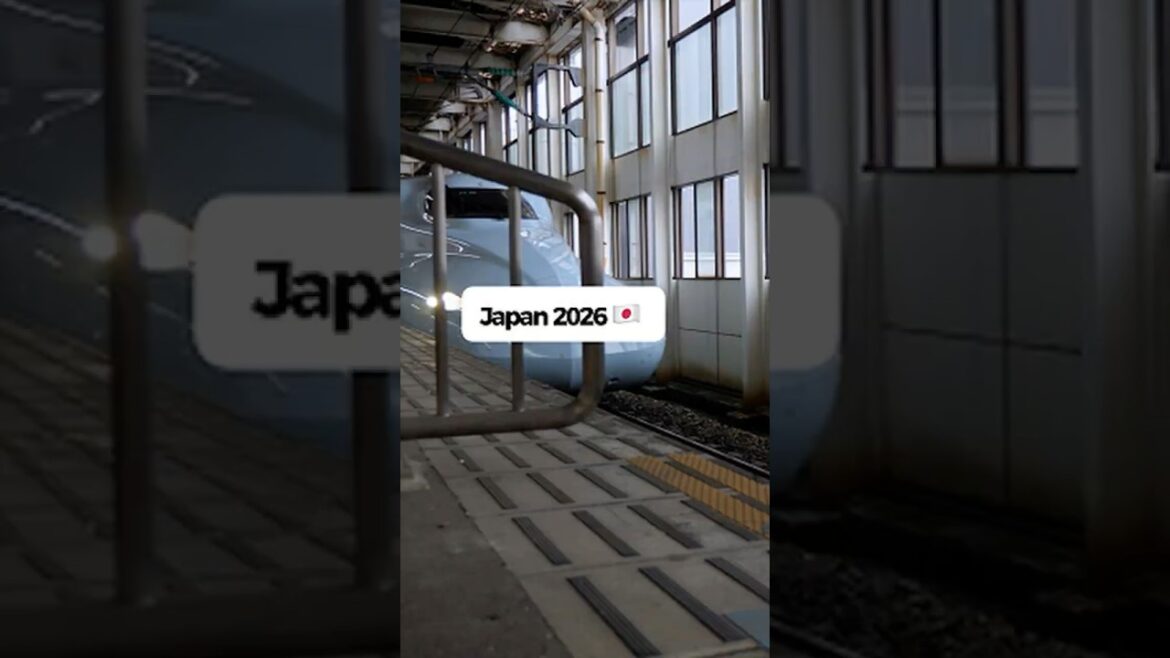 POV: You Finally Booked Japan 🇯🇵