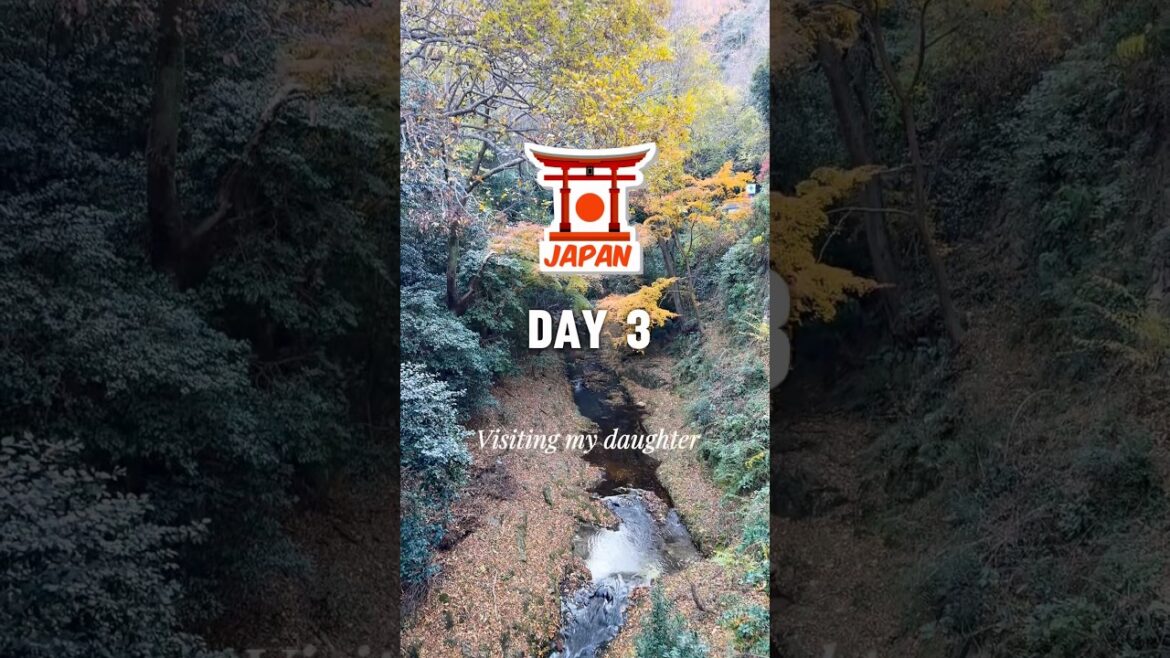 Day 3 in Japan 🇯🇵 | My Daughter Took Me Through Kobe (Waterfalls, Food & a Dream Moment)