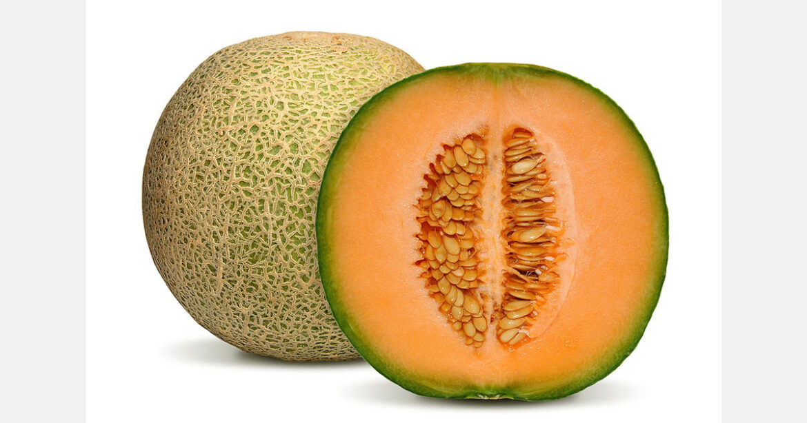 Japanese Yubari melons sell for US$20,000 at Hokkaido auction