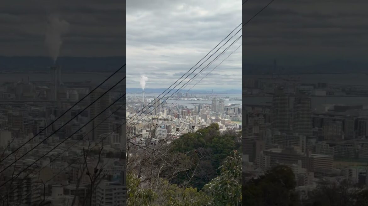 Osaka & Kobe View from Herb Garden #viralshort #travel #japan #viral #viraltimes #osaka #instagram