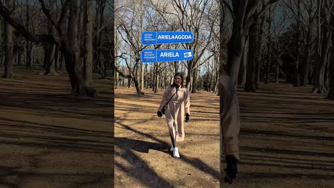 Travel hack you need for your next trip!