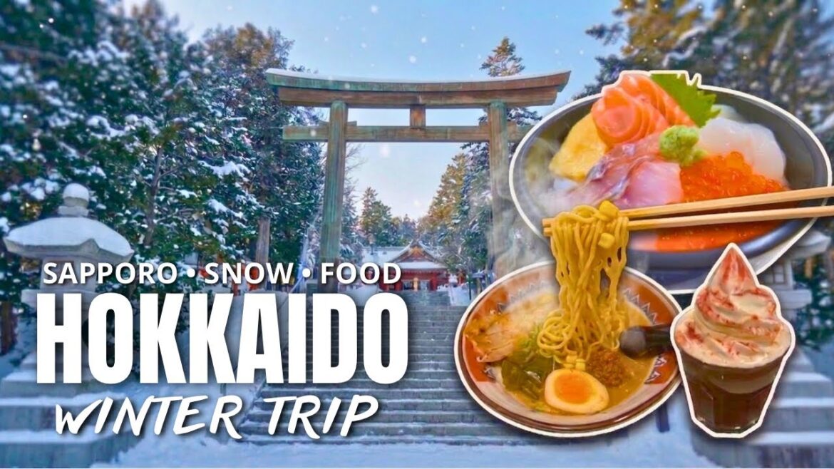 Hokkaido Winter trip | Exploring Maruyama Park, Nijo Market & New Chitose Airport Hokkaido Winter trip | Exploring Maruyama Park, Nijo Market & New Chitose Airport