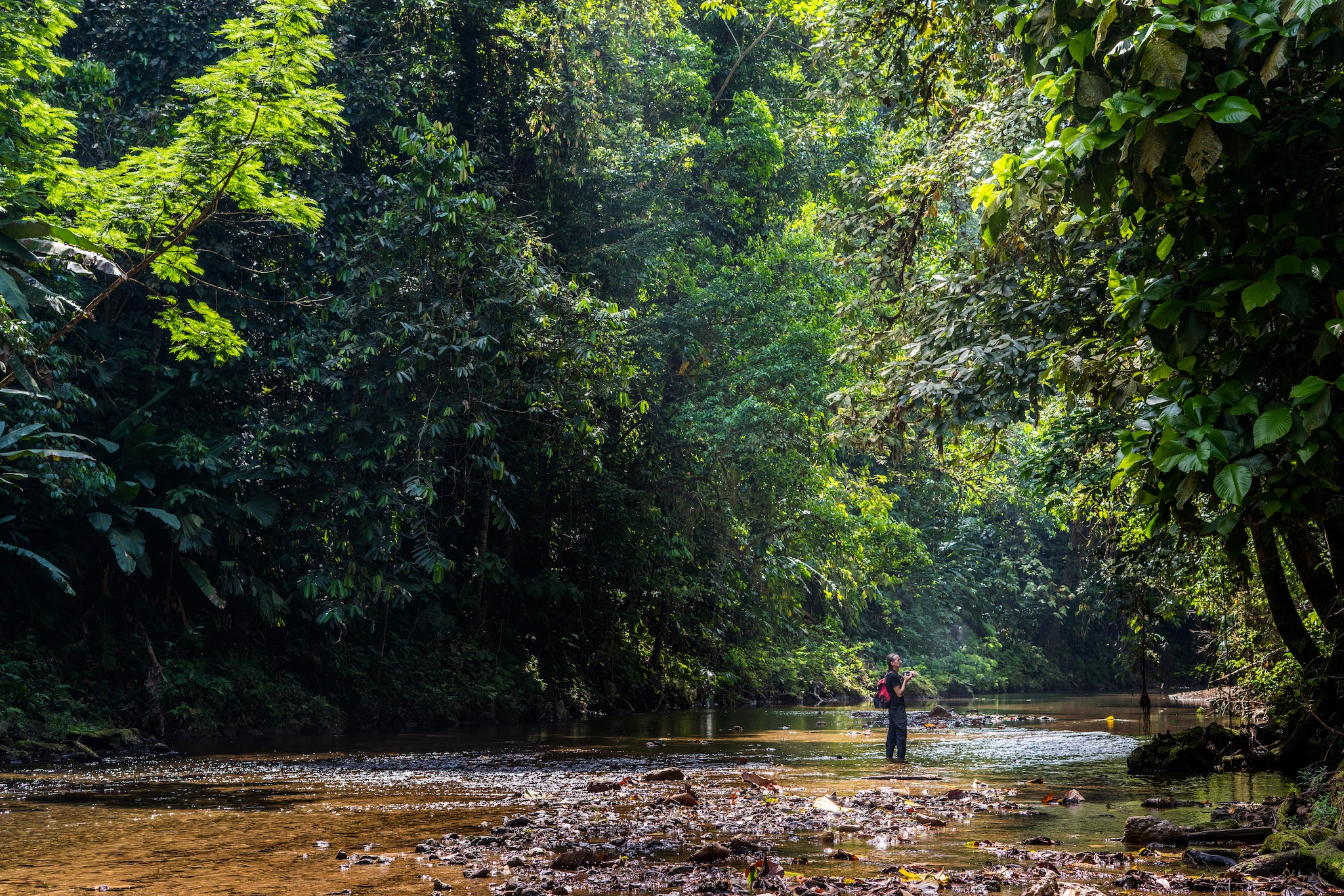 Man taking pictures of the beautiful and scenic landscape surrounding a shallow jungle river at Drake Bay
