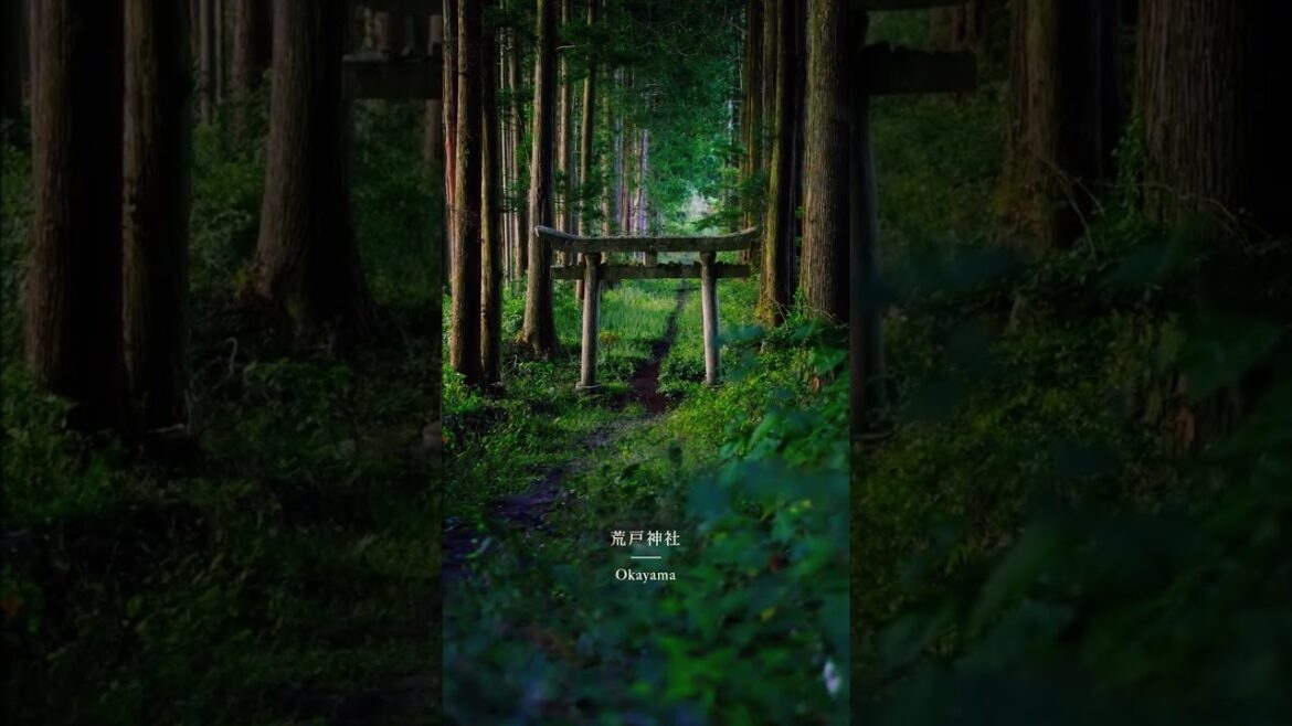 Hidden Forest Shrine in Okayama Japan | Arato Shrine Cinematic Torii Path #japantravel #shrine