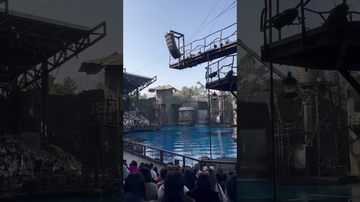 【OSAKA】Must-See Tourist Attractions - USJ_Water World