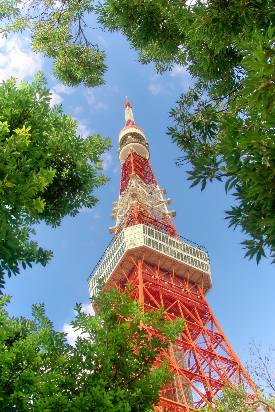RGB (Tokyo Tower, Fall 2024)