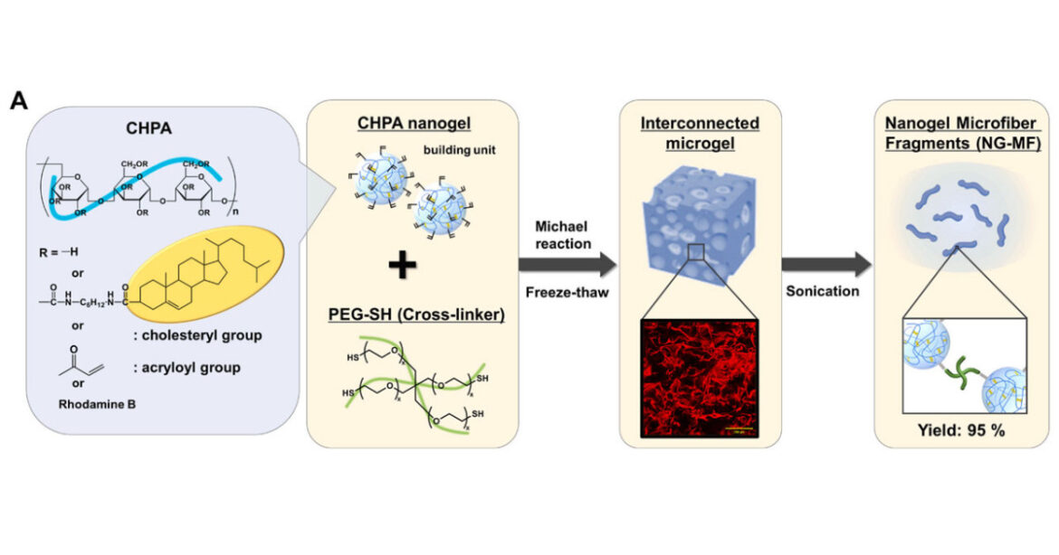 Giving stem cells room to breathe