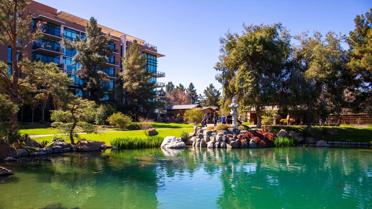 Phoenix Arizona USA - 2 21 2025: the Japanese Friendship Garden, a Japanese stroll garden with a lake and lush green trees, grass and plants in Phoenix Arizona USA