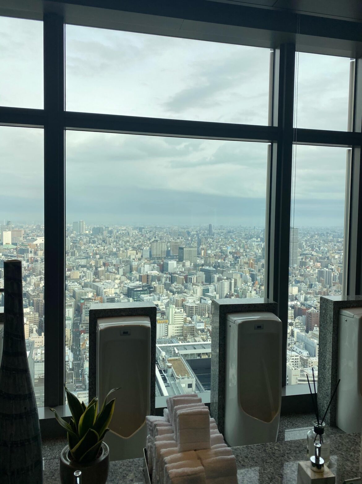 Tokyo view from the Mandarin Oriental Hotel restroom