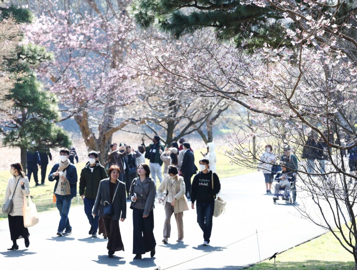 Imperial Palace street opened to public for spring season Imperial Palace street opened to public for spring season