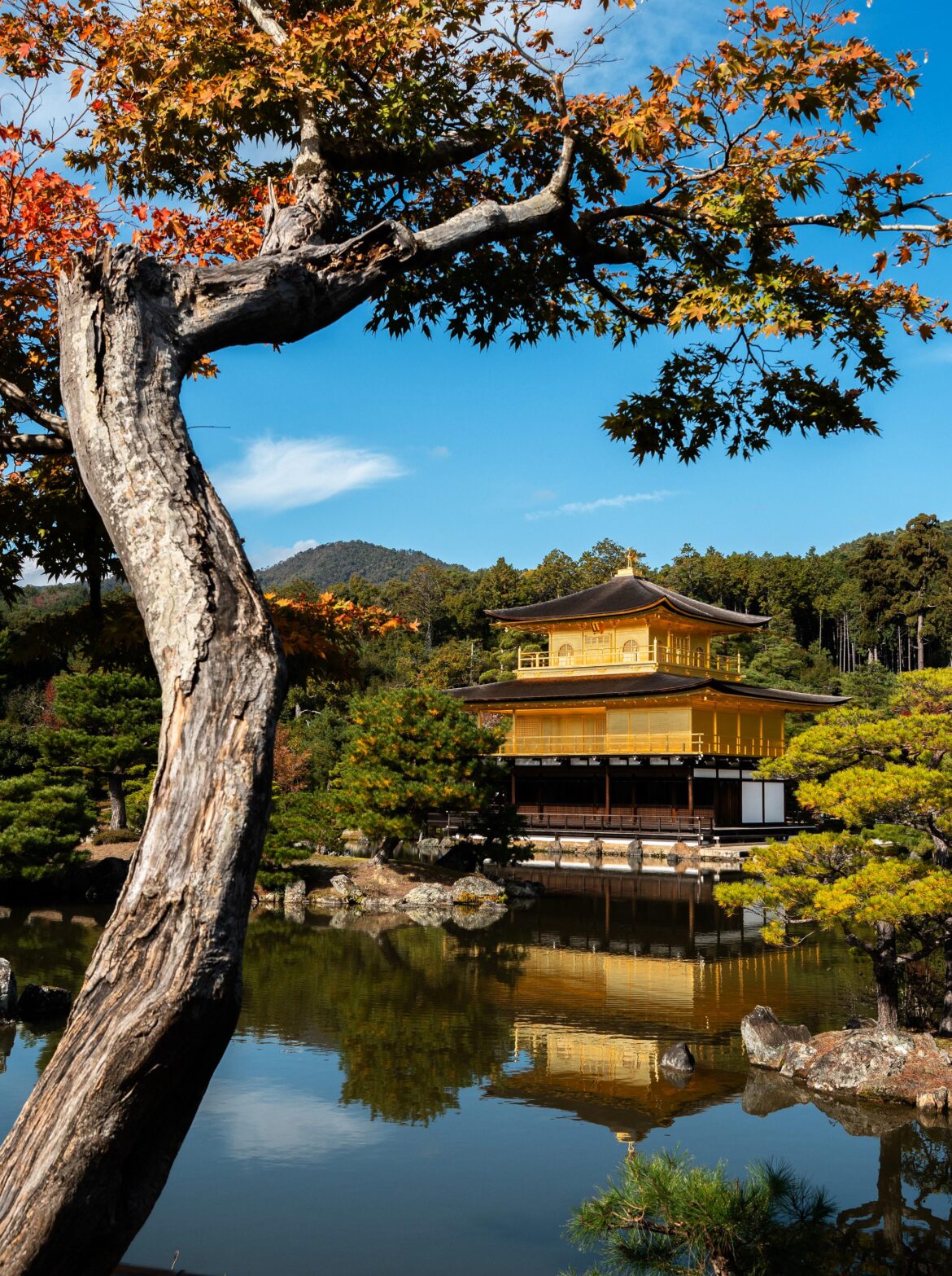 Kinkaku-ji in early fall