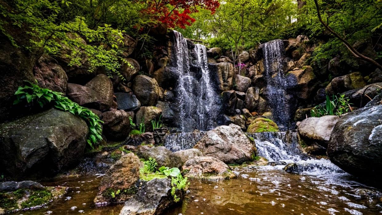 This photo was taken at Anderson Japanese garden in Rockford Illinois. 