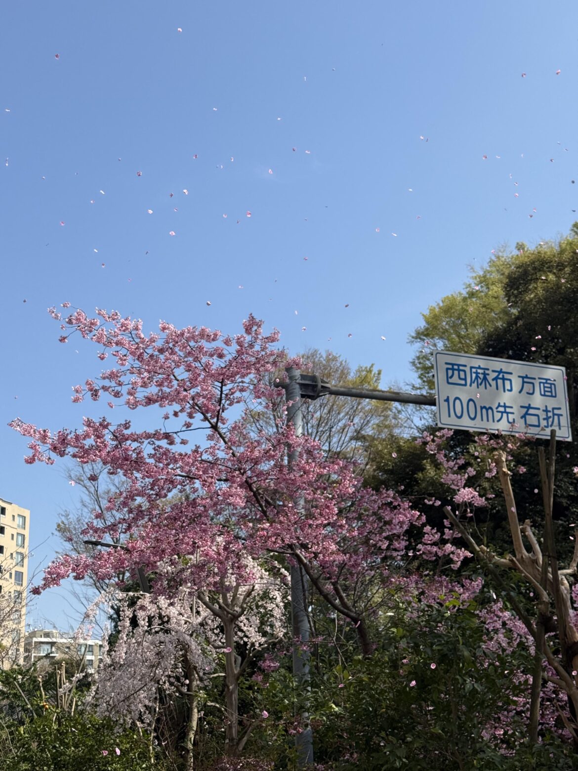 [OC] Tokyo Yesterday!