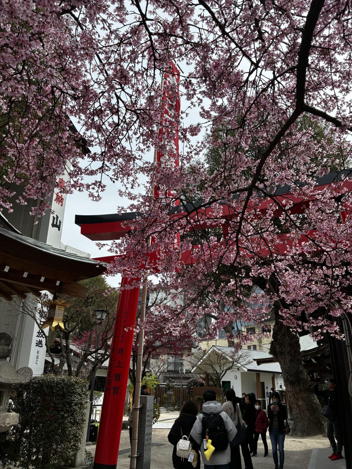 KUSHIDA Shinto shrine in Fukuoka