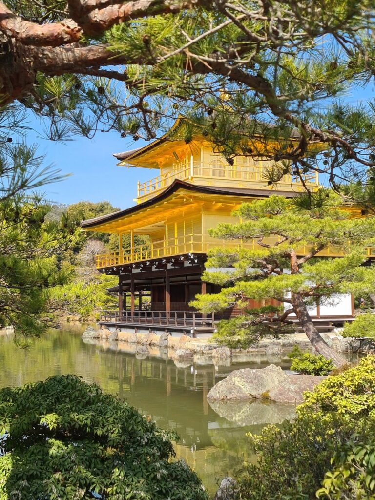 The Moneyshot (Kinkaku-ji, Kyoto)[OC]