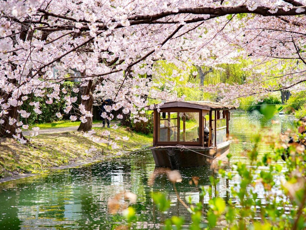 I visited Japan for the first time. The trip was great, but I could’ve easily avoided these 5 mistakes. INSIDER