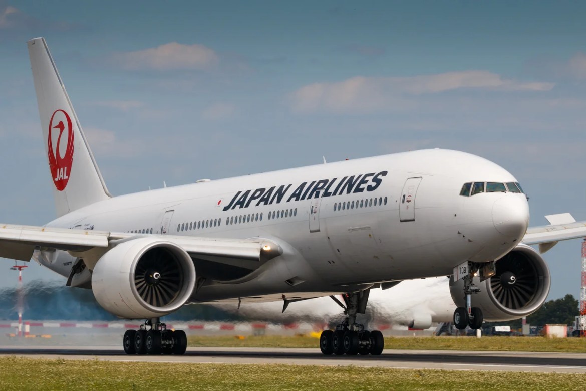 A Japan Airlines aircraft on the ground, facing the camera.