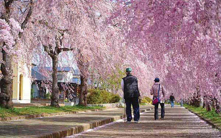 An elderly couple walks on Nicchu Line.