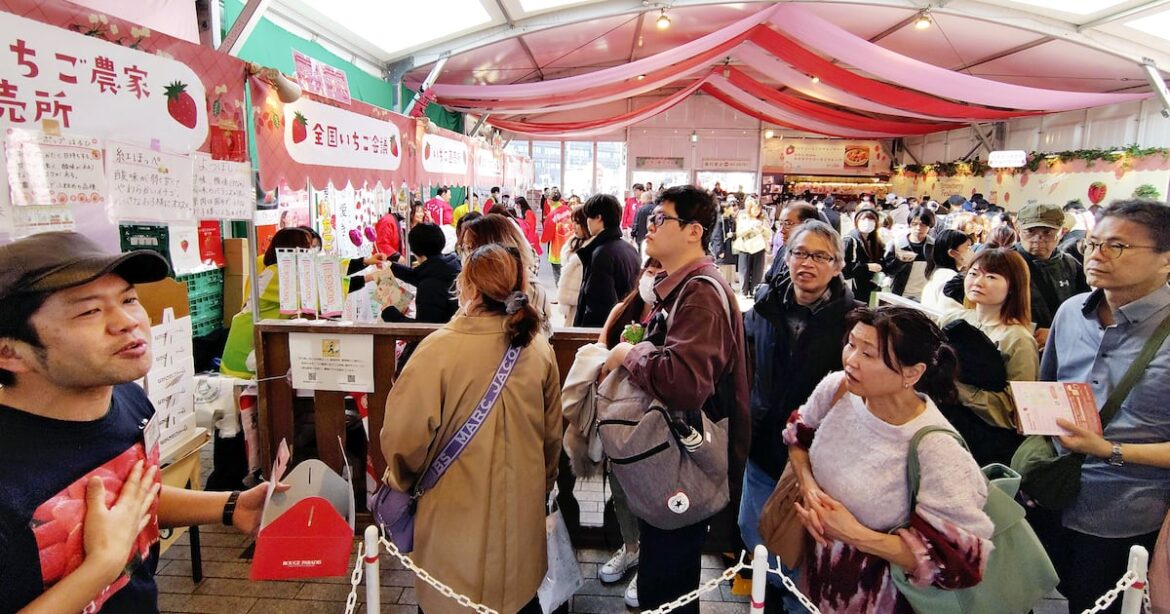 A ‘strawberry war’ is heating up in Tokyo – The Irish News
