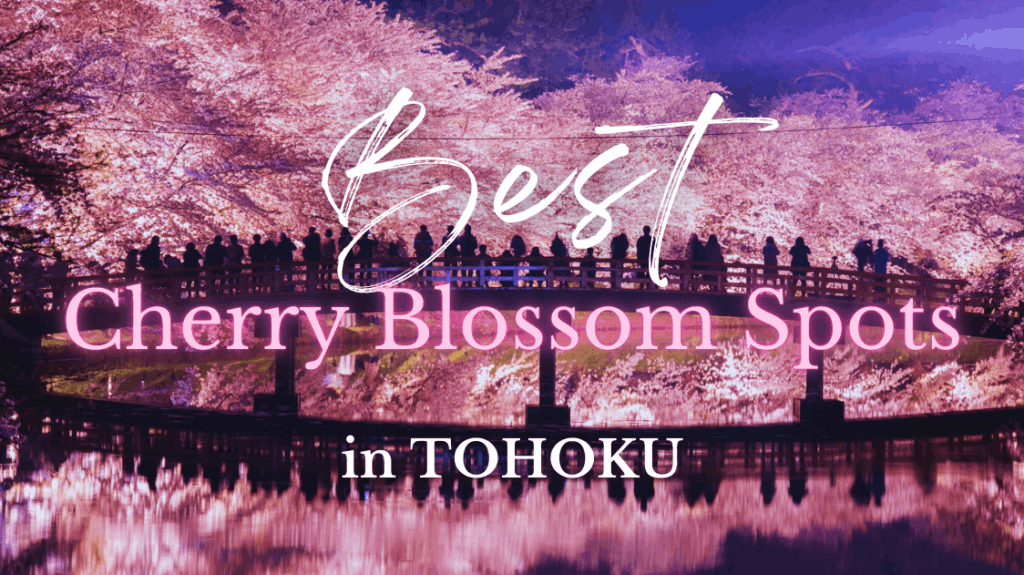 Best Cherry Blossom Spots in Tohoku