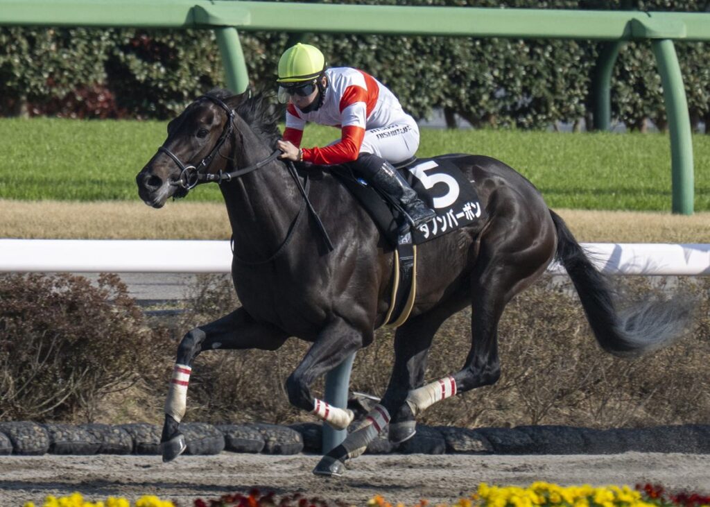 Danon Bourbon Creates Tie At End Of Japan Road to the Derby