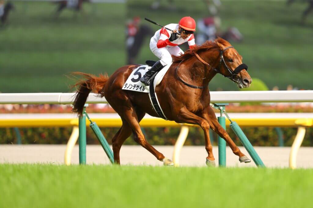 Norihiro Yokoyama and Danon Decile win the 2024 Tokyo Yushun