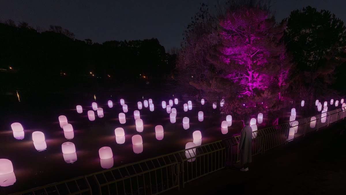 Floating Resonating Lamps on Oike Lake - Ambiguous Cherry Blossom at teamLab Botanical Garden Osaka