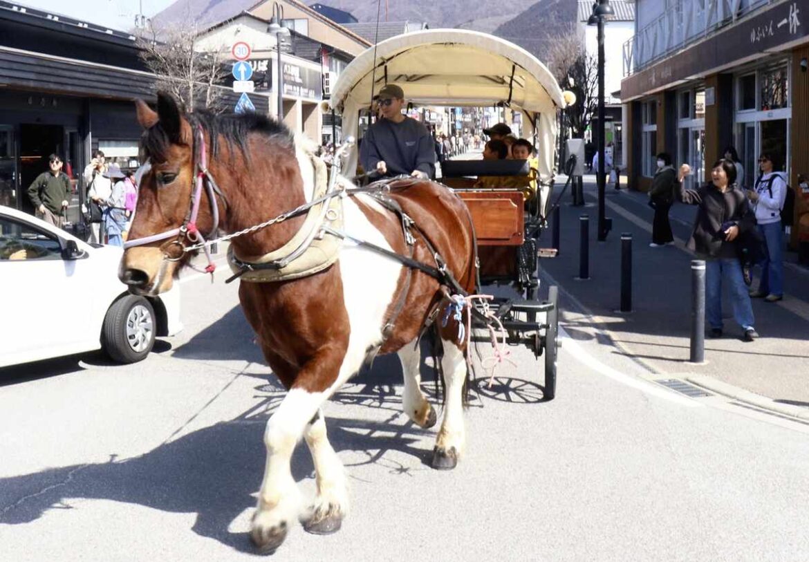 Oita: Popular Horse-Drawn Carriage Tours Begin in Japan’s Yufuin Hot Spring Area