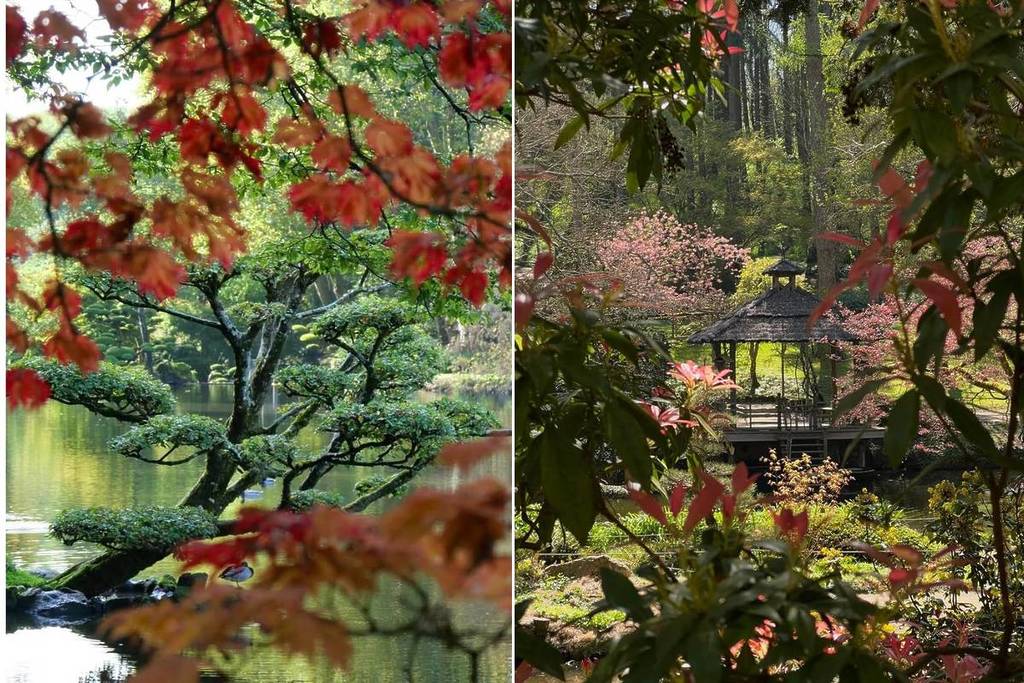 large Japanese garden paris