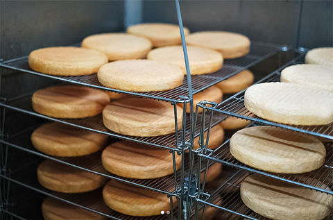 This Tiny Forest Studio Makes the Best Artisanal Cheese in Japan
