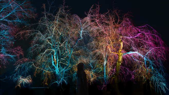 Cherry blossom-inspired artworks illuminate teamLab Botanical Garden Osaka|Arab News Japan Cherry blossom-inspired artworks illuminate teamLab Botanical Garden Osaka|Arab News Japan