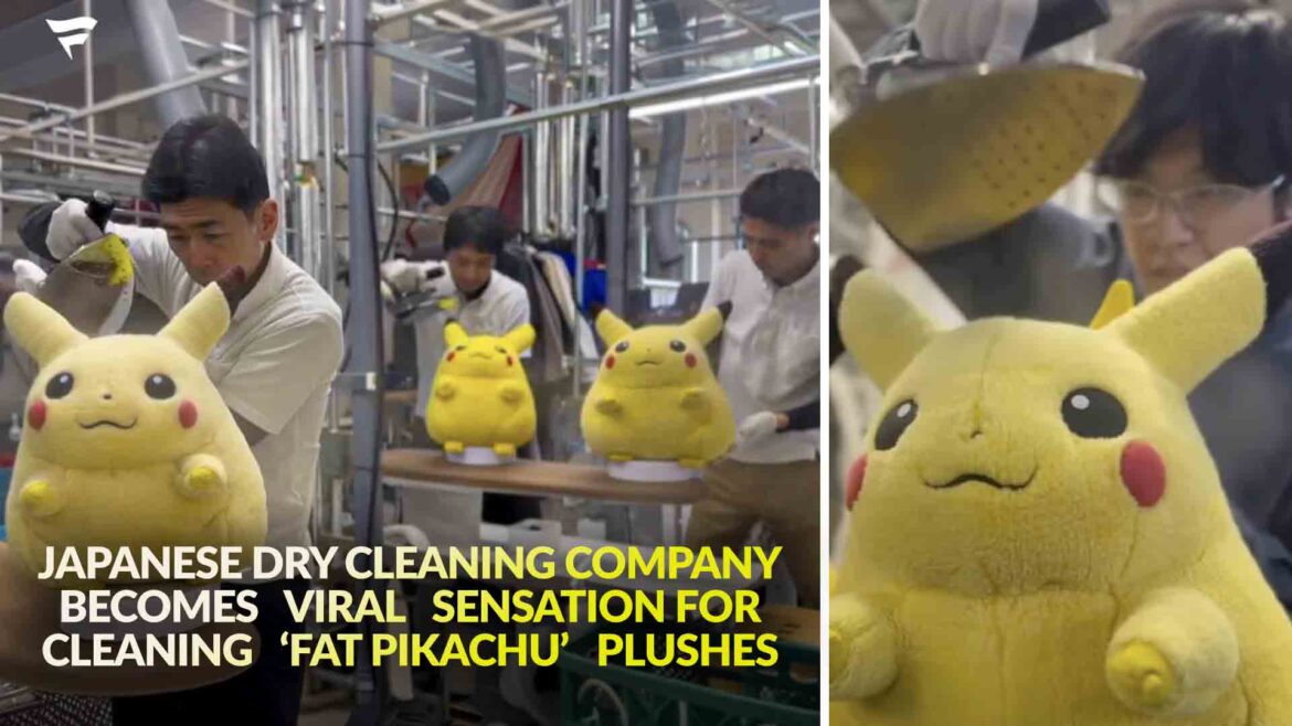 Japanese dry cleaning company becomes viral sensation for cleaning ‘fat Pikachu’ plushes – Nintendo Wire Japanese dry cleaning company becomes viral sensation for cleaning ‘fat Pikachu’ plushes – Nintendo Wire