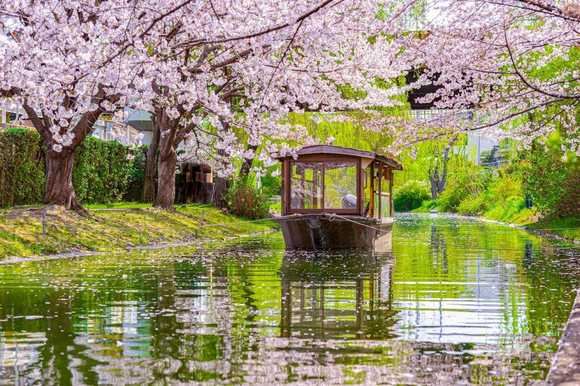 We Asked 6 Travel Pros the Best Solo Travel Destination—and They All Picked the Same Place