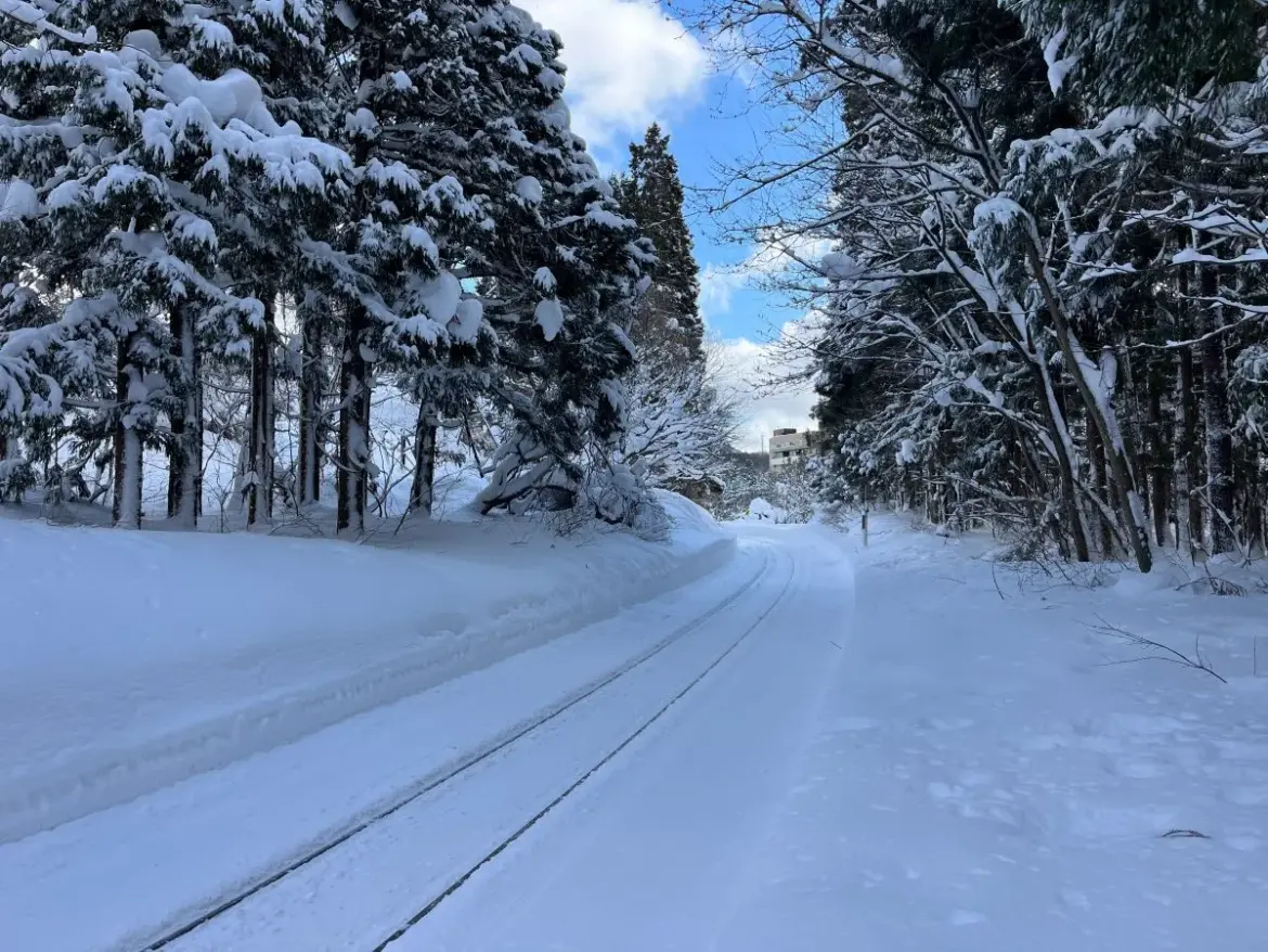 Train Tracks Daniel Moore snowshoes